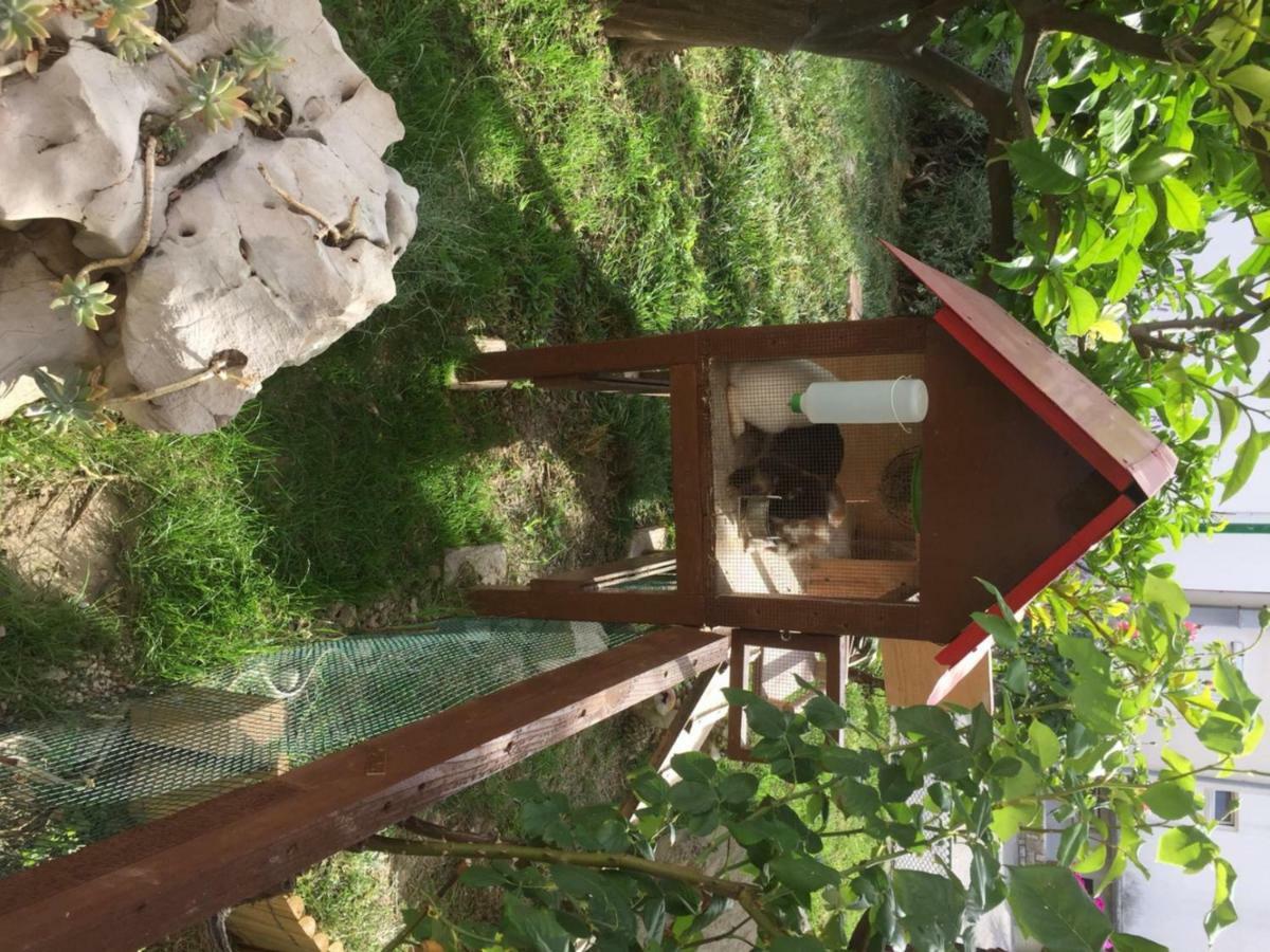 Apartmani Zorica Rab Town Exterior foto